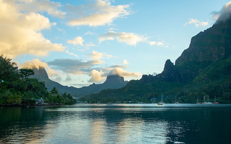 ©Ron Watkins - Moorea Tahiti Dive Photo Trip - Moorea Bay