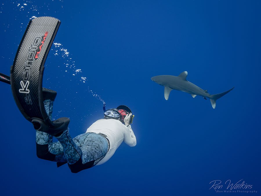 ©Ron Watkins - Moorea Tahiti Dive Photo Trip - Diver with Shark