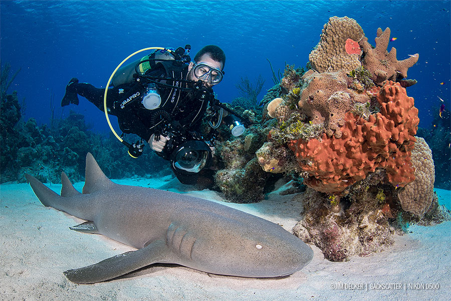 nikon scuba diving camera