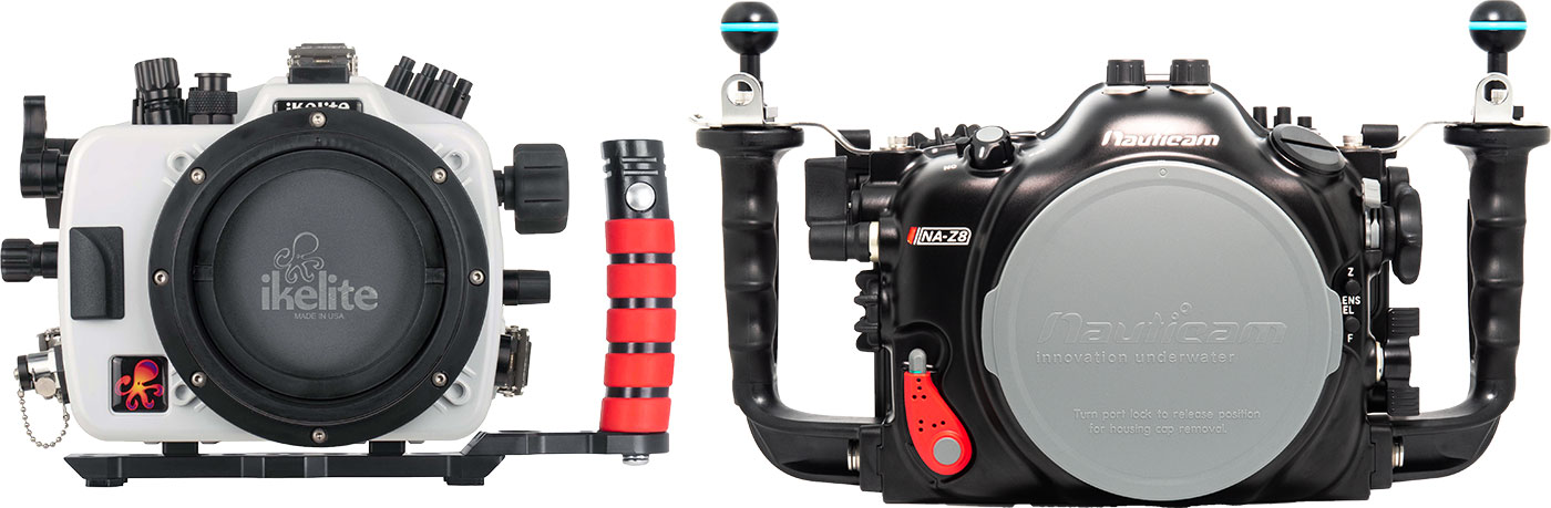 新品未読　シェルタードッグズ SHELTER dogs シェルタードッグズ | 山と溪谷社