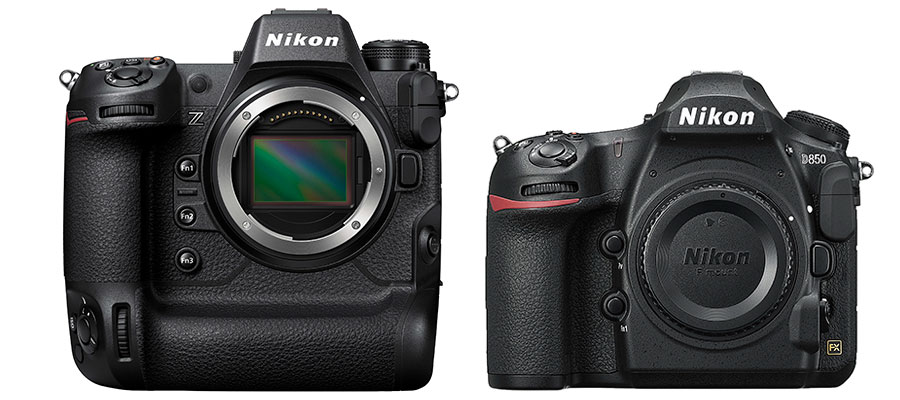 Nikon Z9 Underwater Camera Review - Underwater Photography