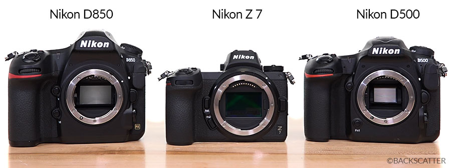 Nikon Z 7 Underwater Camera Review - Underwater Photography