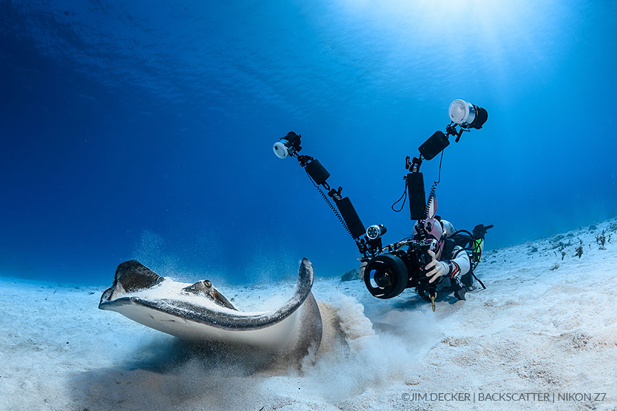 Nikon Z 7 Underwater Camera Review - Underwater Photography