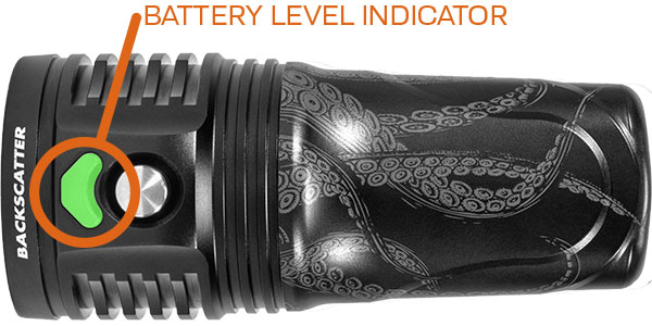 dorsal side of light with indicator light circled and labeled (see 4300 article section) 