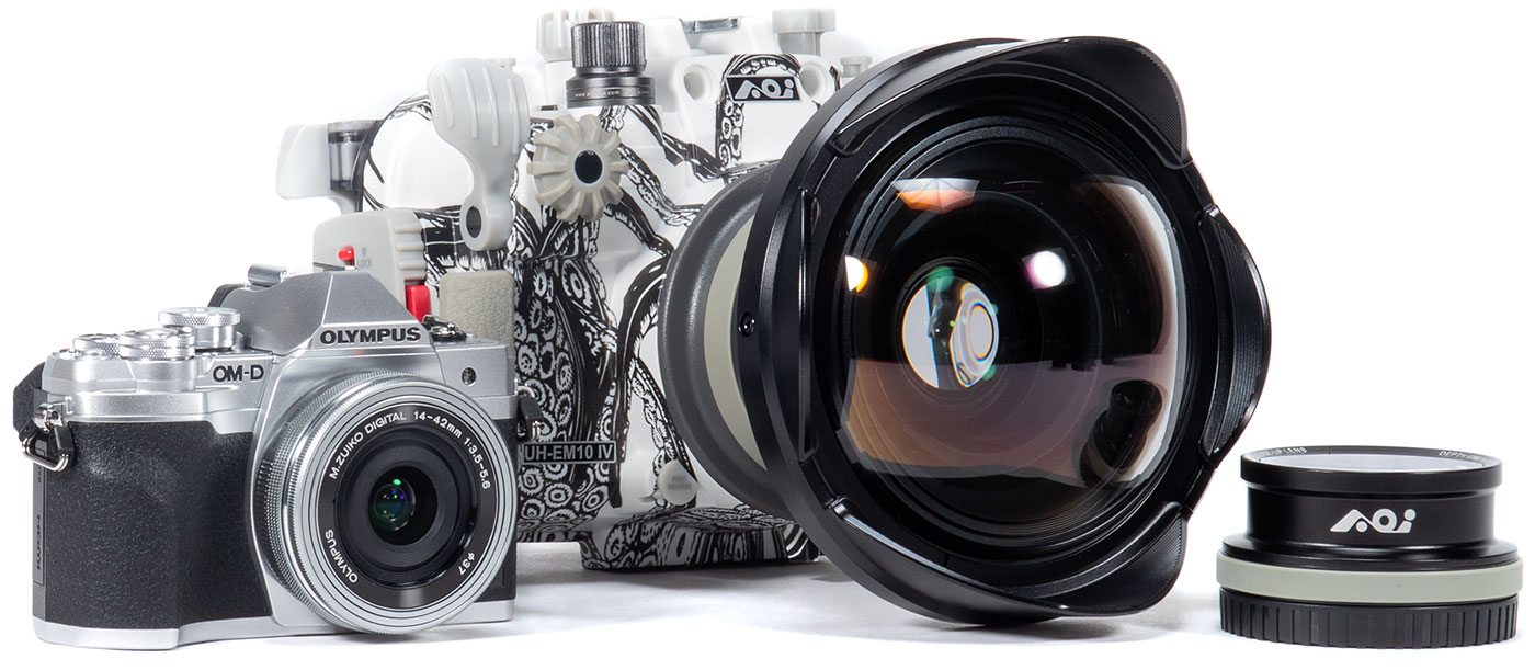 Olympus OM-D E-M10 IV Underwater Camera & Housing Review