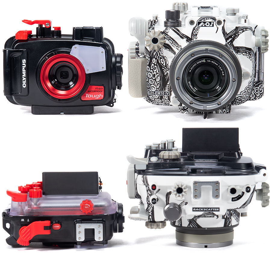 Olympus OM-D E-M10 IV Underwater Camera & Housing Review - [embed photo: PT-059 vs E-M10 IV Octo Housing]