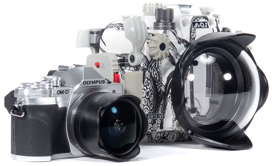 Olympus OM-D E-M10 IV Underwater Camera & Housing Review