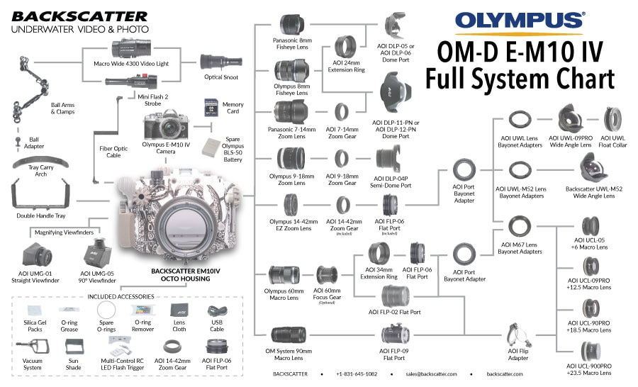 ©Jim Decker - Olympus OM-D E-M10 IV Underwater Camera & Housing Review - [embed system chart]