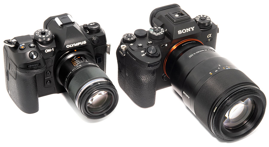 The Best Lenses for OM System OM1 and the Great Tech Inside