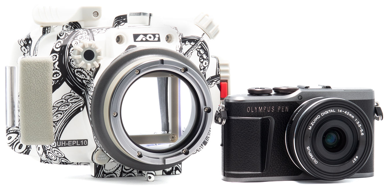 Olympus E-PL10 Underwater Camera & Housing Review - Underwater