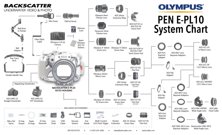 [produce and insert System Chart]