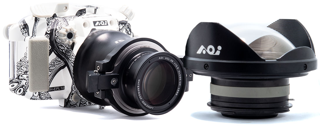 Olympus E-PL10 Underwater Camera & Housing Review