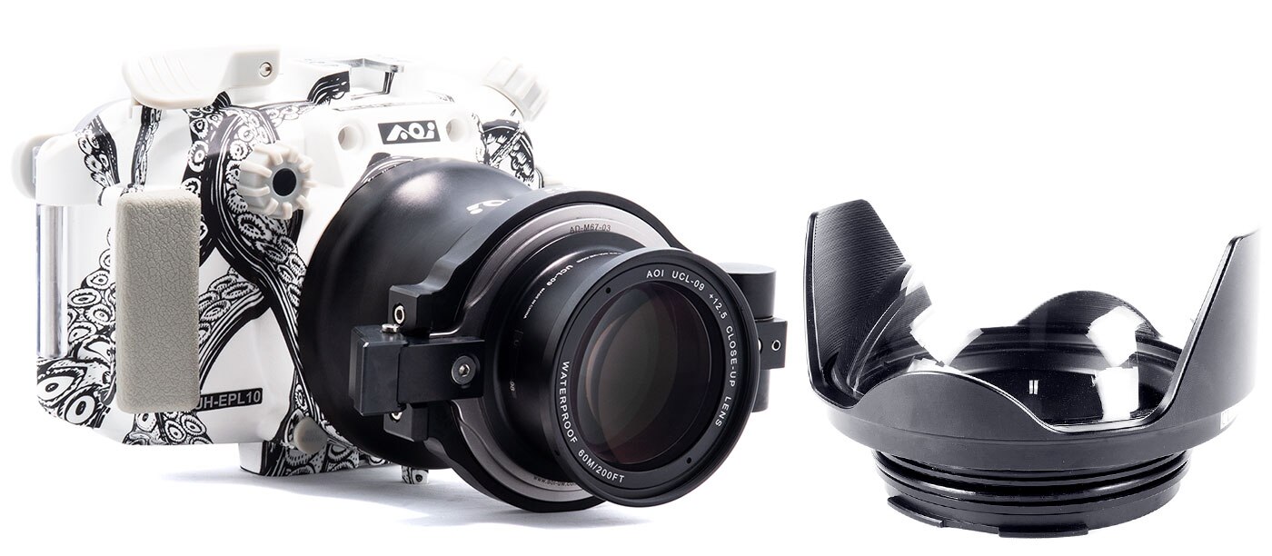 Olympus E-PL10 Underwater Camera & Housing Review