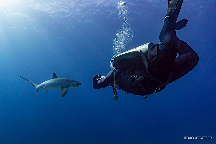©Backscatter - Malapascua & Dumaguete Philippines Thresher sharks, lush reefs, and unique macro critters June 8-20, 2027