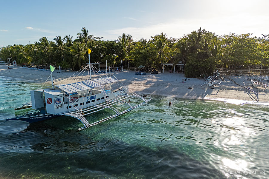 ©Backscatter - Malapascua & Dumaguete Philippines Thresher sharks, lush reefs, and unique macro critters June 8-20, 2027