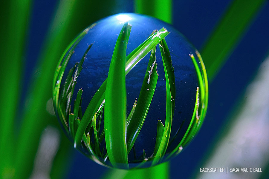 Saga Magic Ball Surf Grass