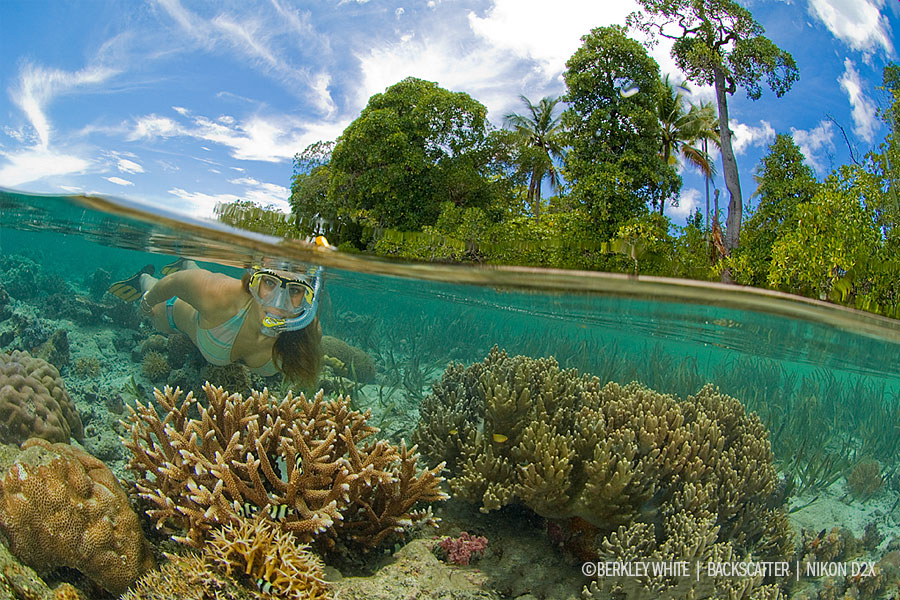 dome port underwater photography
