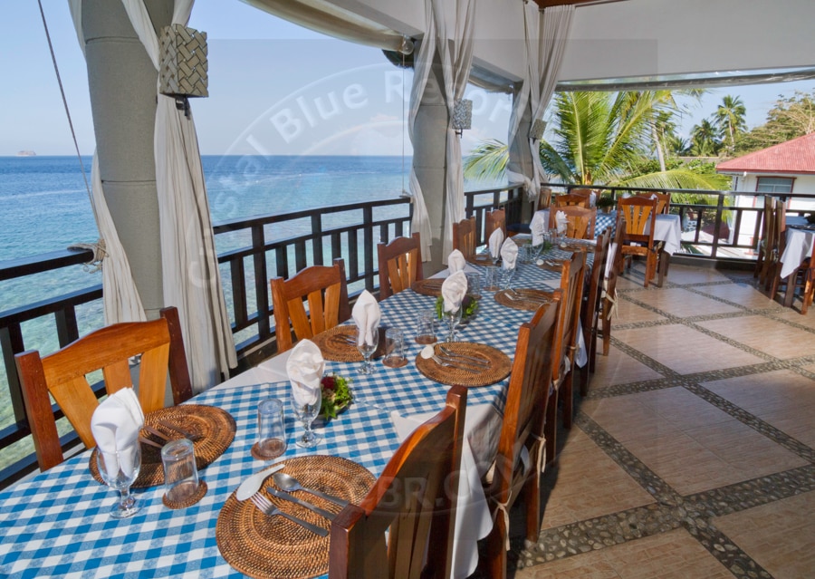 Macro Underwater Photography Workshop - Dining with a view