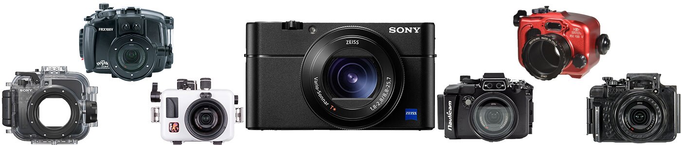 How to make my hummus thicker Best compact camera for scuba diving