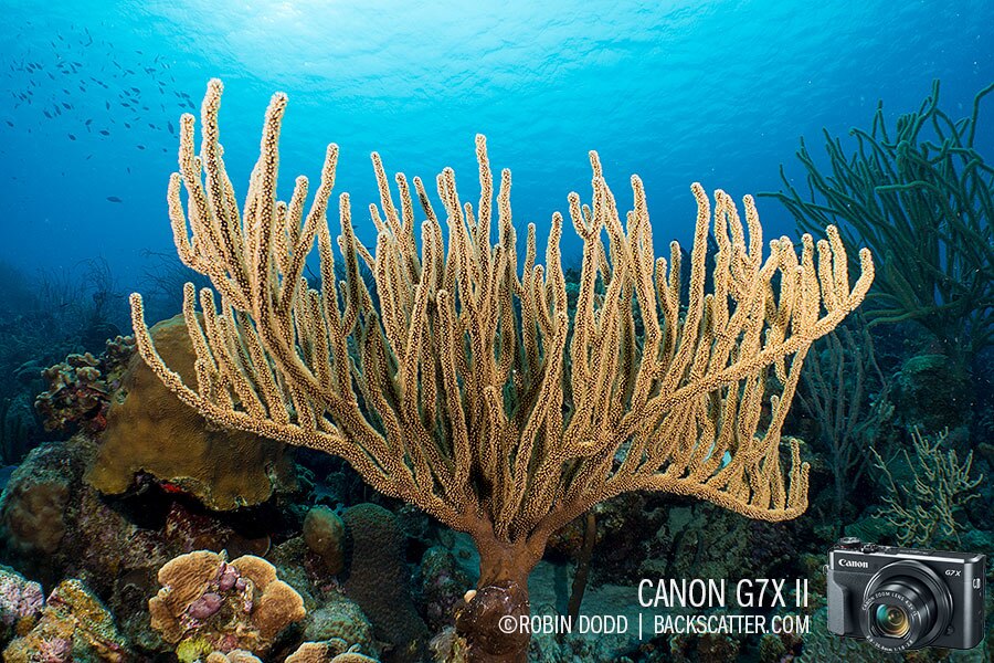 best underwater cameras of