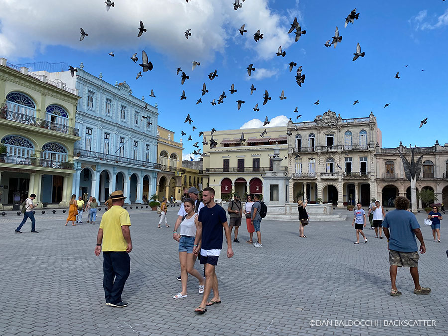 ©Dan Baldacchi - Garden Of The Queens, Cuba - City Square