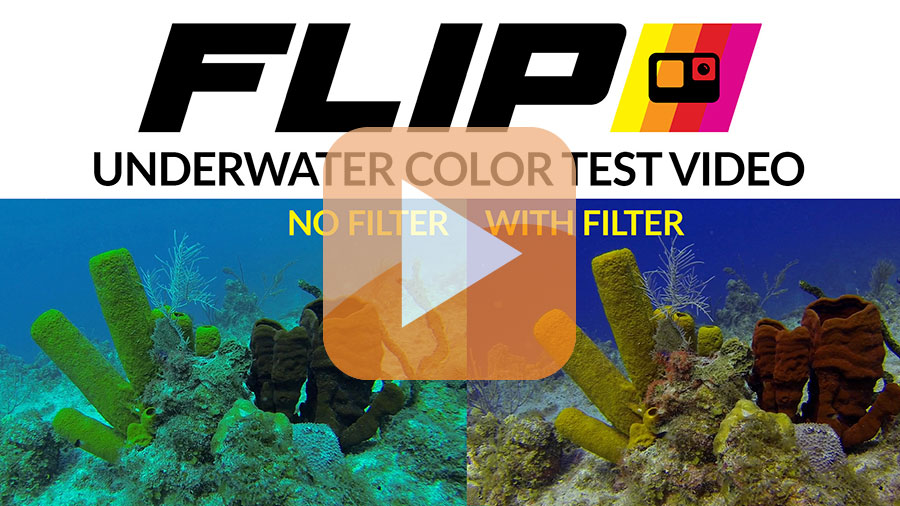 Guide for the Best Filter for your GoPro - Underwater Photography -  Backscatter