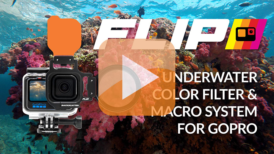 Guide for the Best Filter for your GoPro - Underwater Photography -  Backscatter