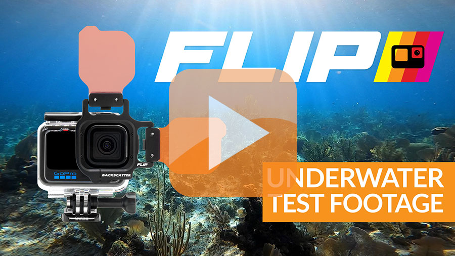 GoPro HERO 9 Best Underwater Photography Settings - Underwater Photography  - Backscatter