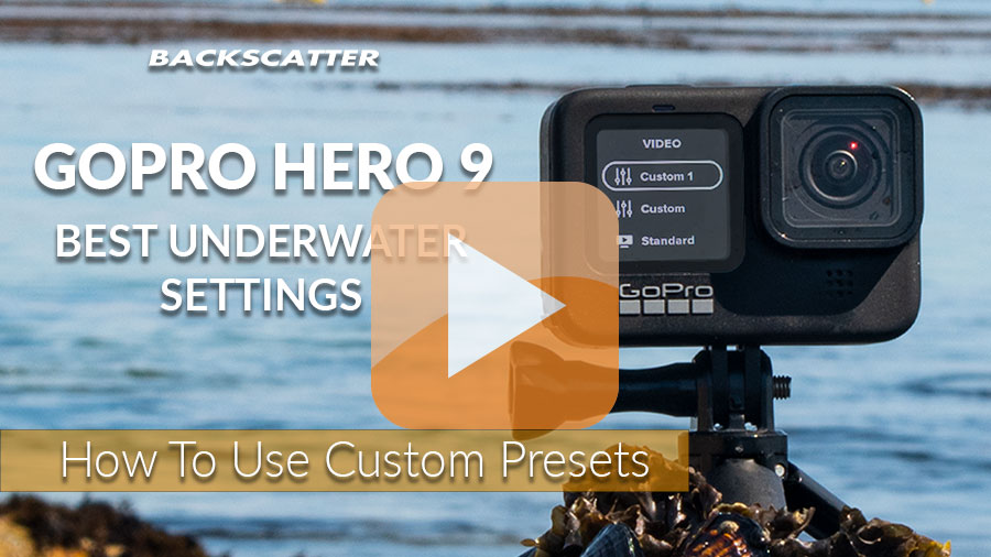 GoPro HERO 9 Best Underwater Photography Settings - Underwater Photography  - Backscatter