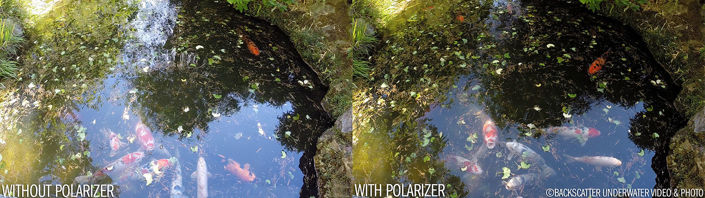 Flip5 GoPro Polarizer With and Without Pond