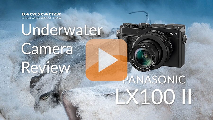 professioneel Specificiteit Nodig uit Panasonic LX100 II Underwater Camera Review - Underwater Photography -  Backscatter