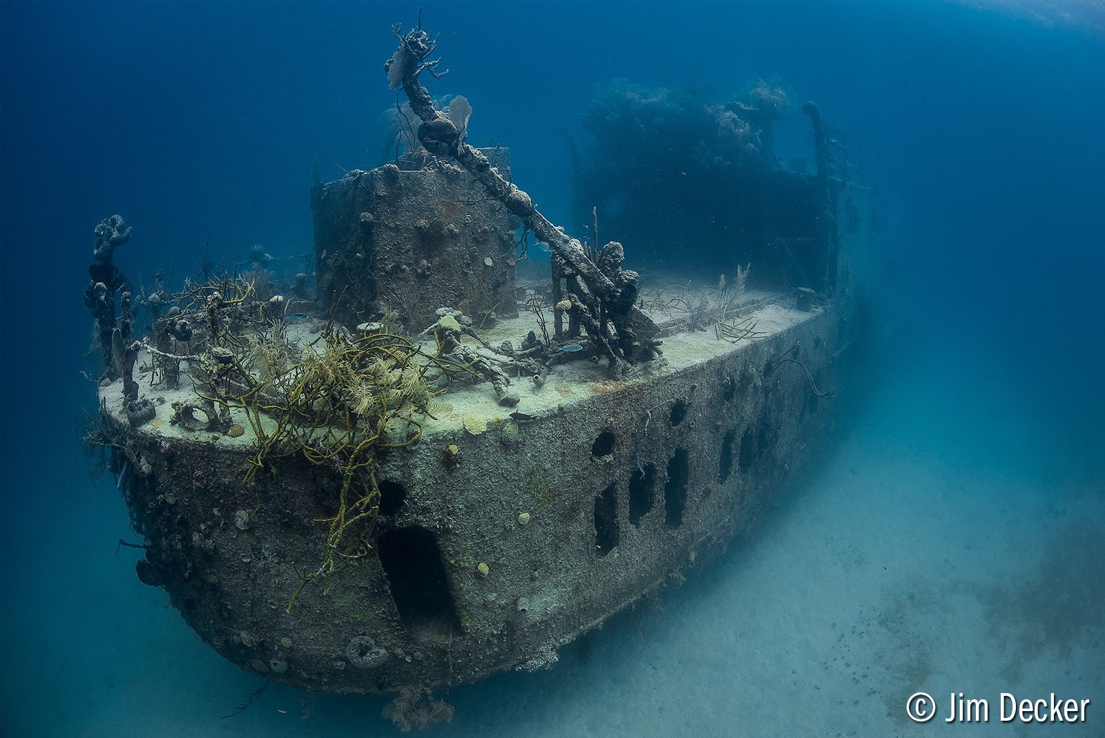 © Jim Decker - Wide Angle Underwater Photography Boot Camp – Roatan – January 20-27th, 2018