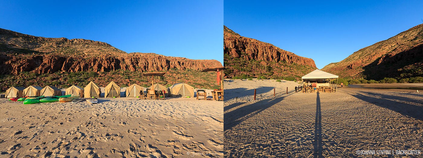 SEA OF CORTEZ FOR EPIC MARINE LIFE ENCOUNTERS - Camp Site