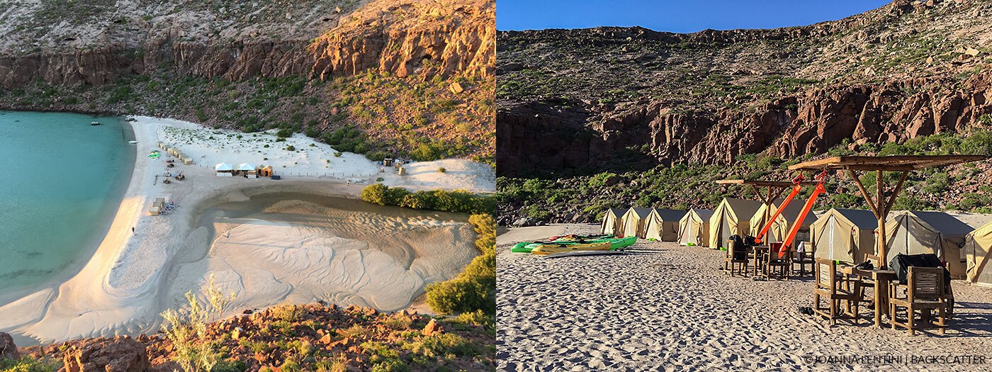 SEA OF CORTEZ FOR EPIC MARINE LIFE ENCOUNTERS - Camp Site