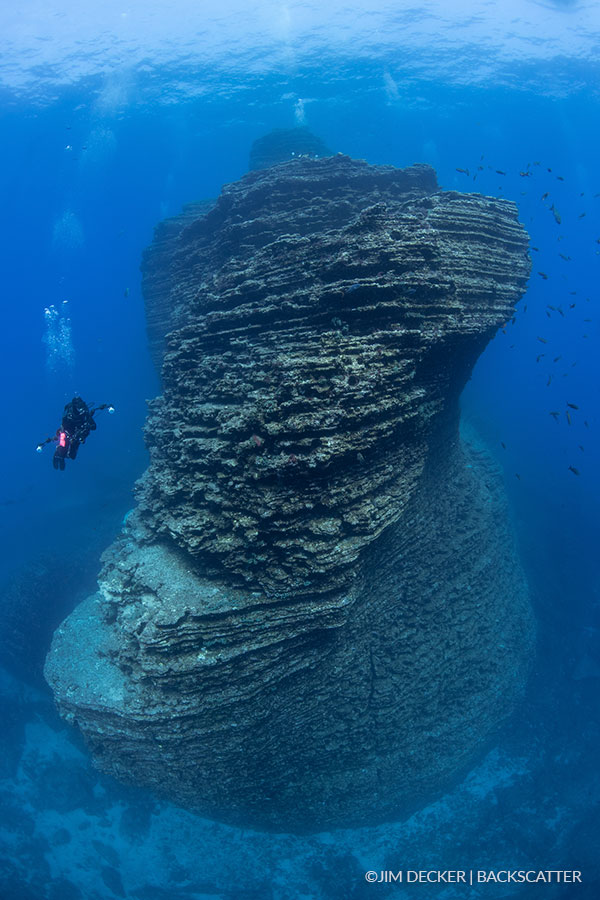 underwater images