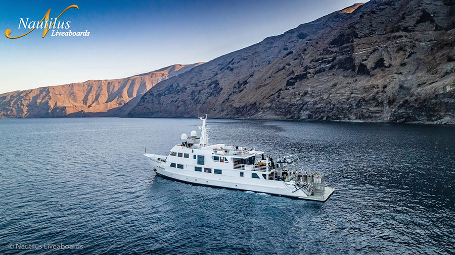 Socorro Islands Mexico - Nautilus Explorer - Nautilus Explorer