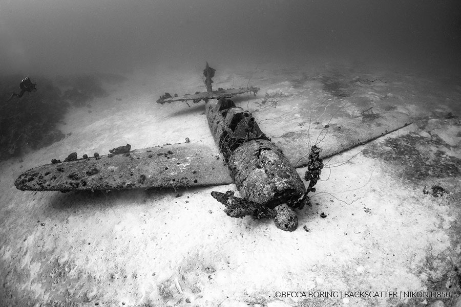 ©Becca Boring - Truk Lagoon - WWII Fighter Plane