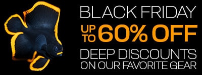 OUR BEST DEALS OF THE YEAR - Save Over 60%