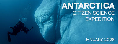 Antarctica Expedition - January 9-22, 2026