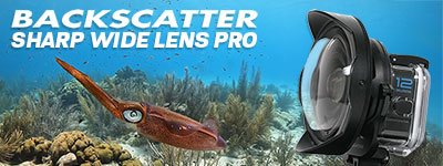 BEST WIDE LENS FOR GOPRO: Sharp Wide Lens Pro
