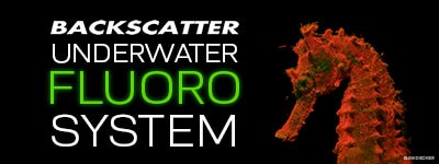 Backscatter Underwater Fluorescence Strobe & Lighting System