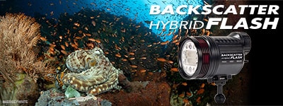 HYBRID FLASH: The Most Powerful Strobe & Video Light Combination Ever Created!