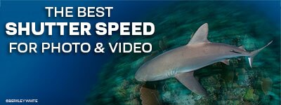 What Is The Best Shutter Speed?