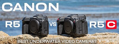 CANON R5 VS R5 C: The Best Underwater Video Camera?