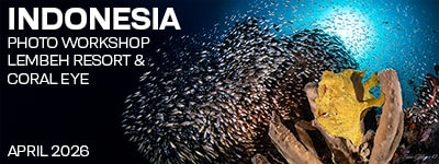 North Sulawesi Indonesia - April 13-27, 2026