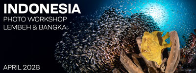 North Sulawesi Indonesia - April 13-27, 2026