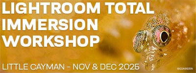 Little Cayman - Nov & Dec 2025