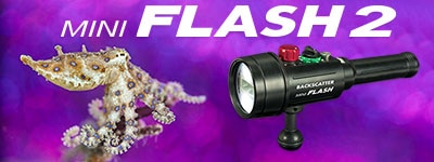 BEST UNDERWATER COMPACT STROBE - Mini Flash 2