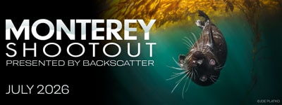Monterey, Ca. - July 24-26, 2026