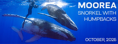 Moorea, Tahiti - Oct. 2025